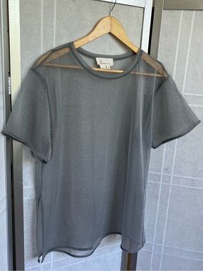 Anthropologie Sheer Mesh Tee Silver Short Sleeve Boxy Oversized Top M